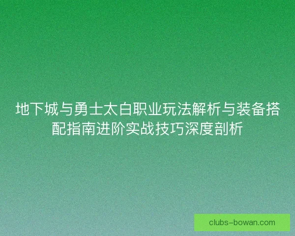 地下城与勇士太白职业玩法解析与装备搭配指南进阶实战技巧深度剖析