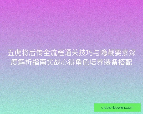 五虎将后传全流程通关技巧与隐藏要素深度解析指南实战心得角色培养装备搭配